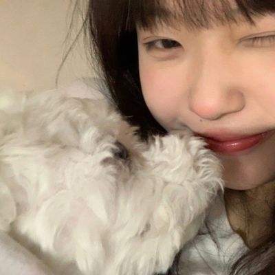 儿童洗车最新版下载